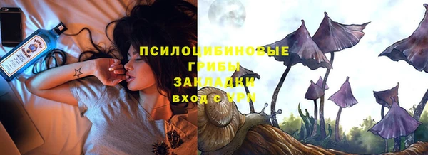 ПСИЛОЦИБИНОВЫЕ ГРИБЫ Абдулино